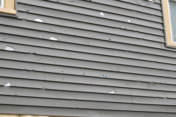 Best Siding Painting and Refinishing  in William Paterson University Of New Jersey, NJ